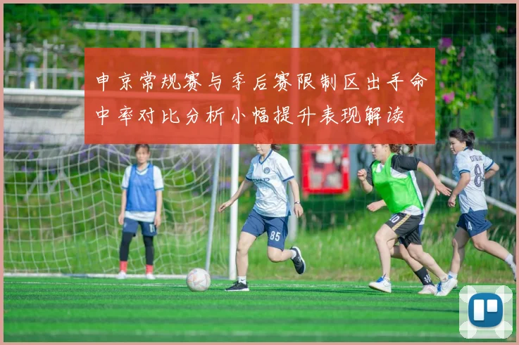 申京常规赛与季后赛限制区出手命中率对比分析小幅提升表现解读